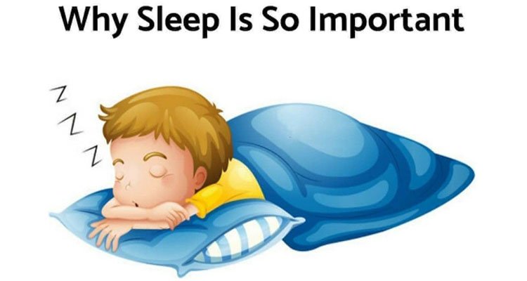 The Importance of Sleep